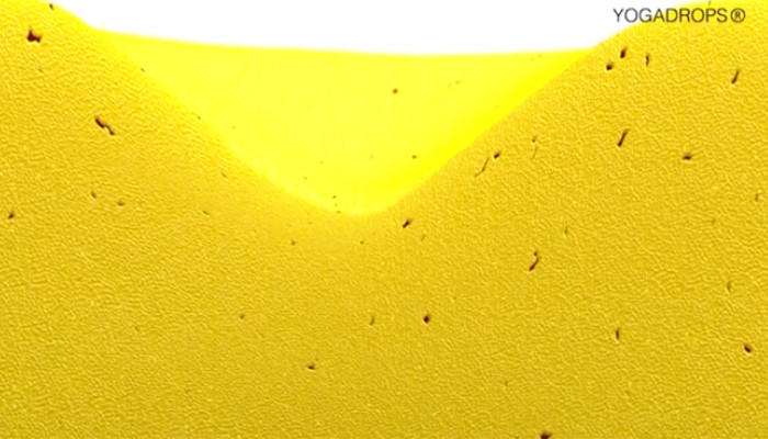 pěna yogadrops