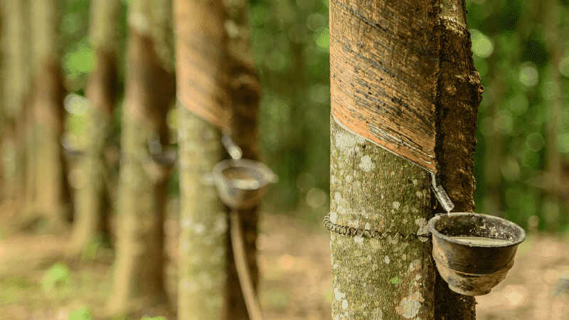 spime.cz natural latex